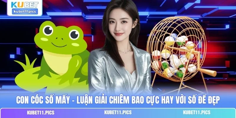 Con Cóc Số Mấy - Luận Giải Chiêm Bao Cực Hay Với Số Đề Đẹp