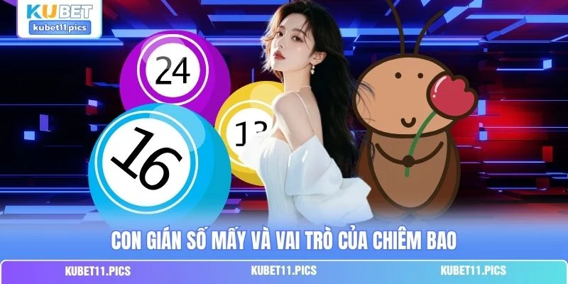 Con gián số mấy và vai trò của chiêm bao