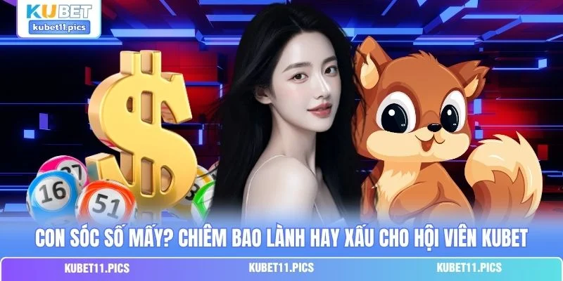 Con Sóc Số Mấy? Chiêm Bao Lành Hay Xấu Cho Hội Viên Kubet