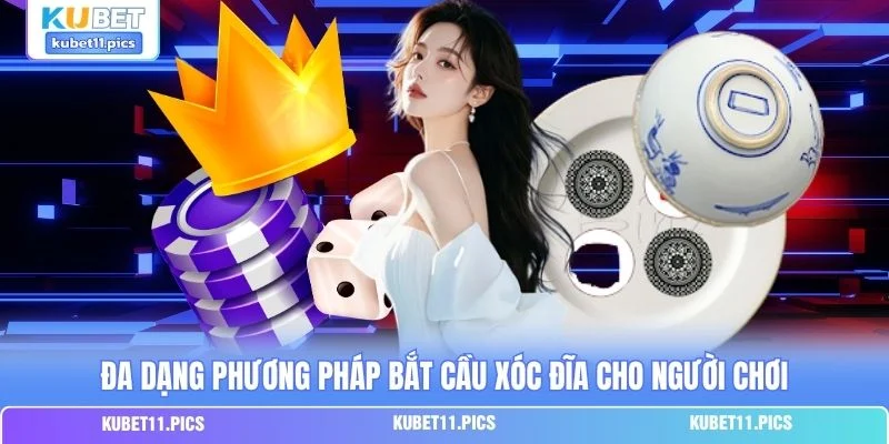 Đa dạng phương pháp bắt cầu xóc đĩa cho người chơi