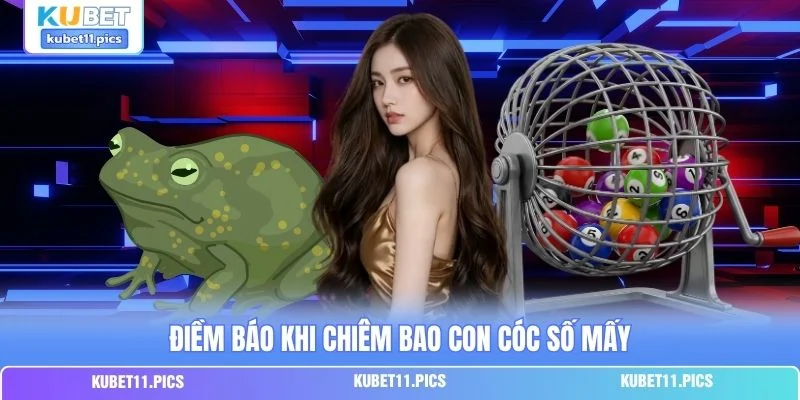 Điềm báo khi chiêm bao con cóc số mấy Điềm báo khi chiêm bao con cóc số mấy