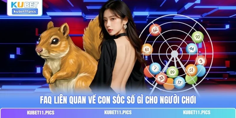 FAQ liên quan về con sóc số gì cho người chơi FAQ liên quan về con sóc số gì cho người chơi