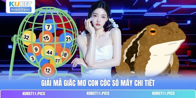 Giải mã giấc mơ con cóc số mấy chi tiết Giải mã giấc mơ con cóc số mấy chi tiết